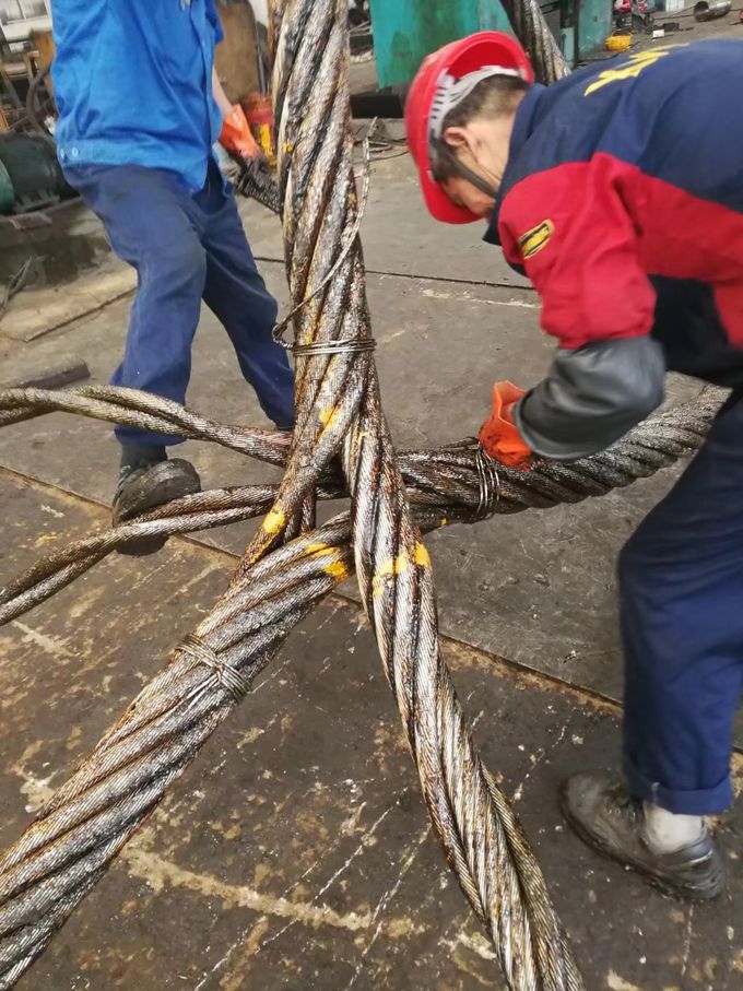 Thimble To Screw Pin Anchor Hoisting Wire Rope & Sling Shackle