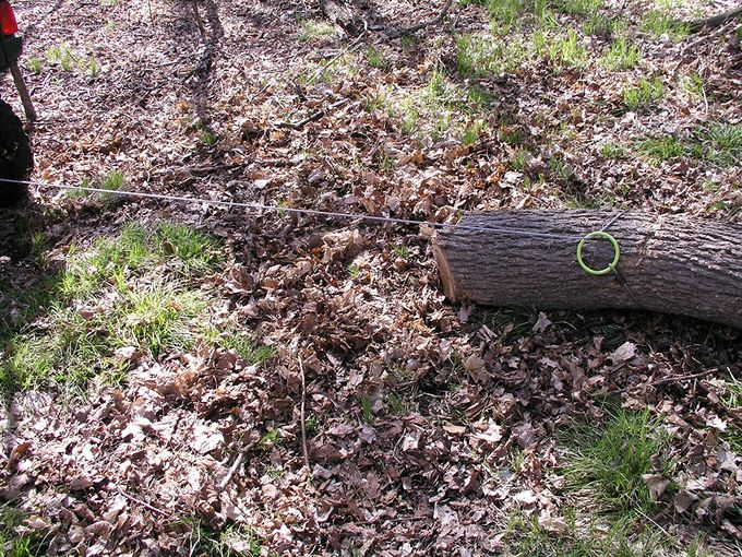 Timber Tuff Logging Choker Cable , Thimble Eye Sling TMW - 38 With Tow Ring